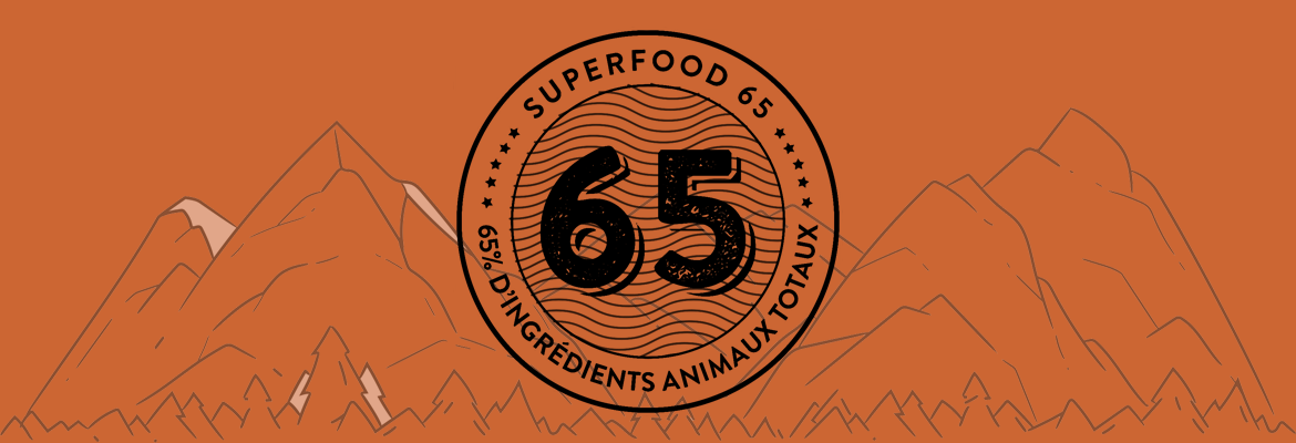 Croquettes Superfood 65 pour Chiens